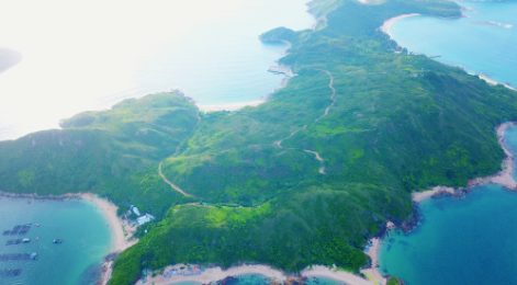 豹变学院—荒岛求生